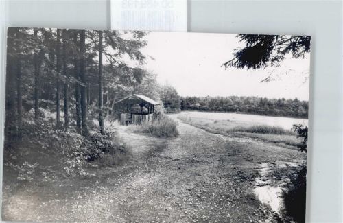Willroth Foto Wald Baum Feld