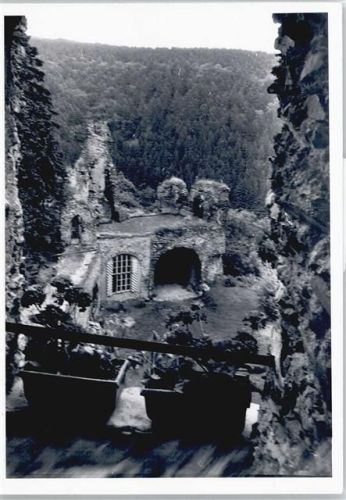 Höhr-Grenzhausen Burg Ruine , Foto