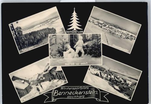 Benneckenstein Panorama Winter