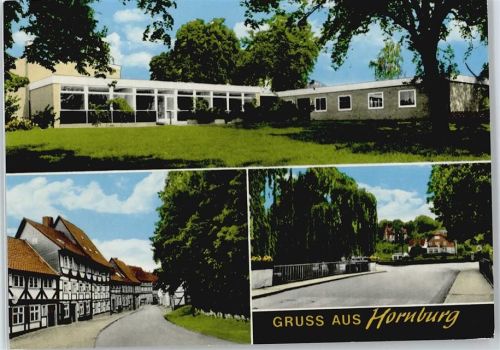 38315 W3342 Hornburg , Kr Wolfenbüttel - Straße Brücke Wiese Baum Haus
