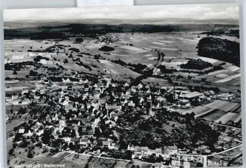 56244 W5419 Hartenfels - Luftaufnahme