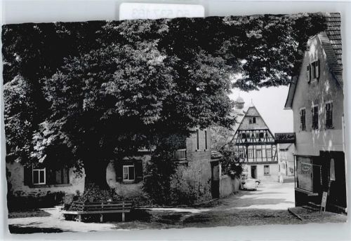 Seeheim-Jugenheim Lindenbaum , Rathaus