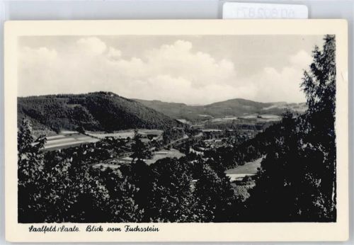 Saalfeld Blick zum Fuchsstein