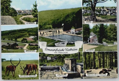 Vielbrunn Schwimmbad, Brunnen, Hainhaus, Hirsche