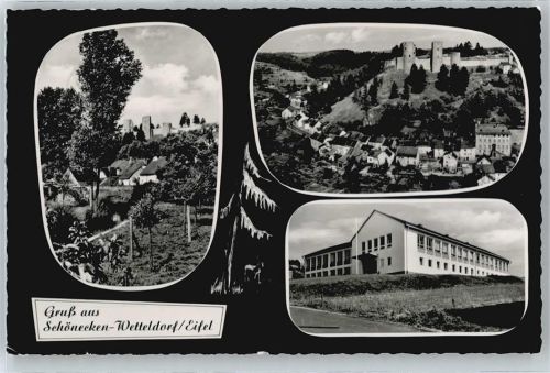 Schönecken Burg Panorama