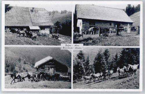 Grassau Alm