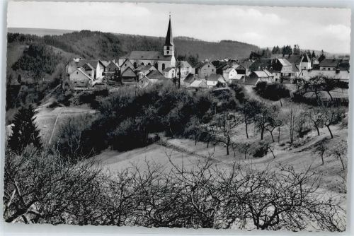 Manderscheid Panorama