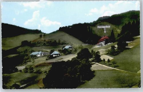 Neuenweg Gasthaus, Pension Haldenhof