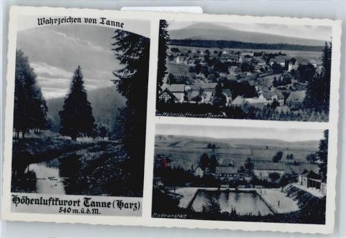 Tanne Panorama Schwimmbad