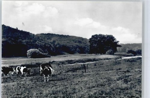 Brünkendorf Kuhweide