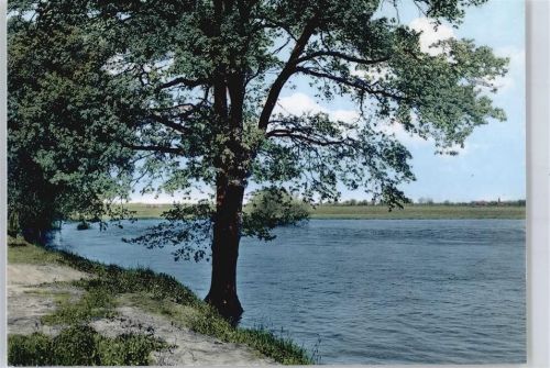Glienitz