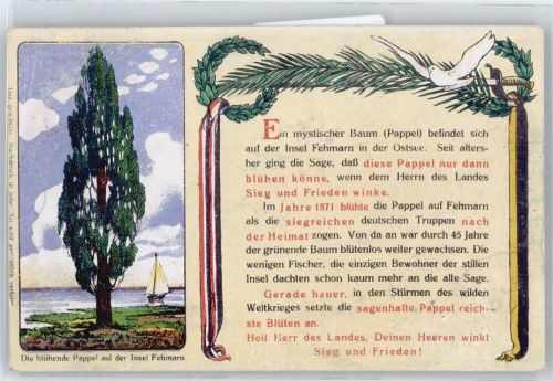 Fehmarn Pappel, Text