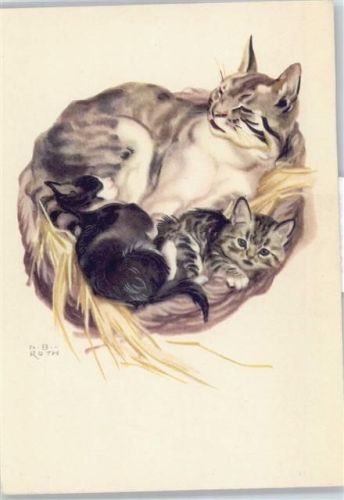 N.B. Roth , Katzen AKU2