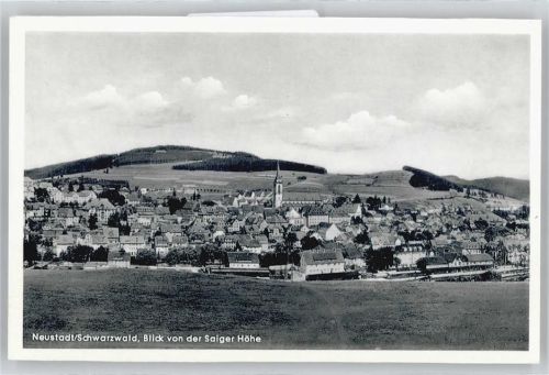 Neustadt Blick von der Saiger Höhe