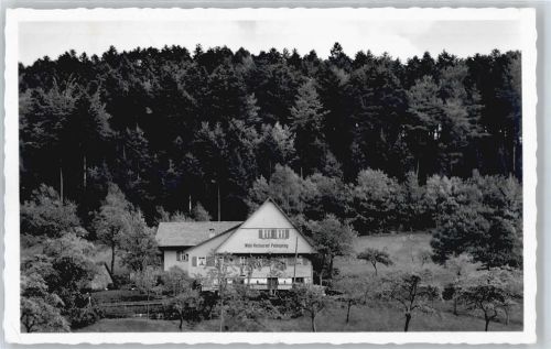 Bad Peterstal Wald-Restaurant Palmspring