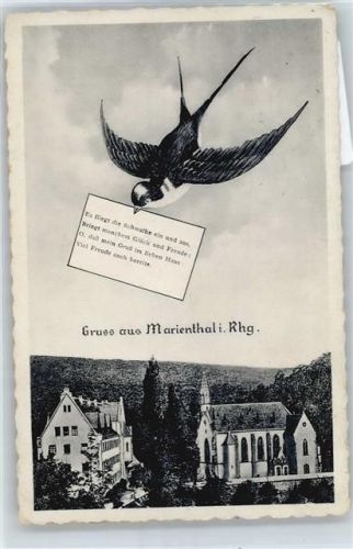 Marienthal Schwalbe