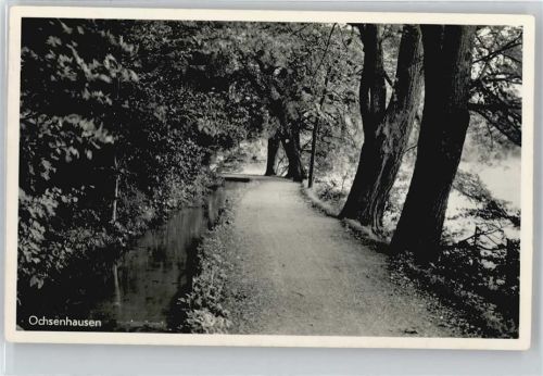 Ochsenhausen AKU2
