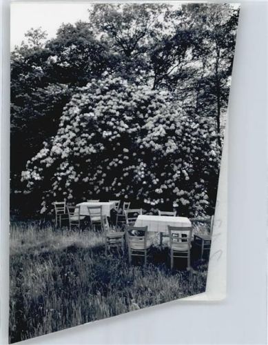 Wingst Foto mit Negativ