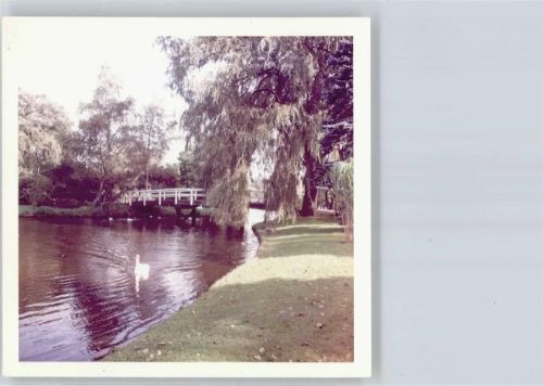 Uetersen Foto, Rosarium