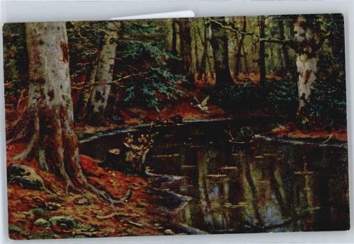 Bach im Wald