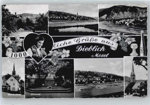 Dieblich Niederburg, Gesamtansicht, Ehrenmal, Weinbrunnen