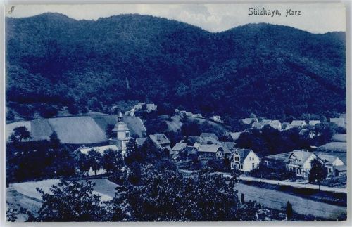 Sülzhayn