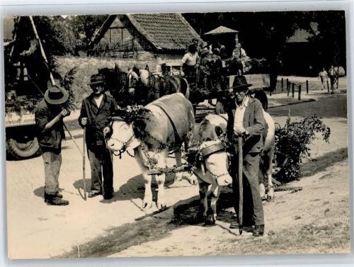 Alexisbad Kuhausstellung , Foto