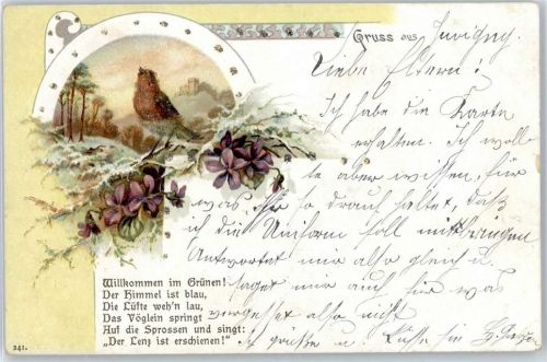 Vogel , Spruch