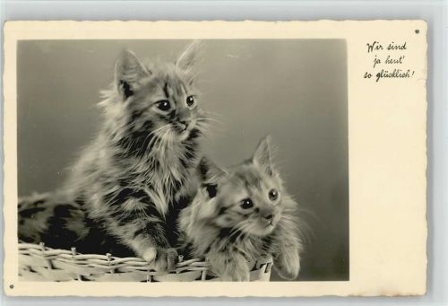 1941 Foto AK