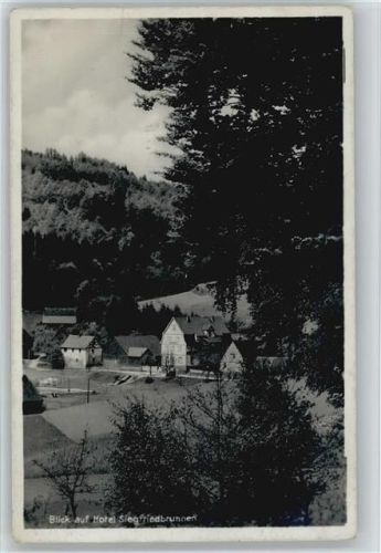 Grasellenbach 1934 Hotel Siegfriedbrunnen
