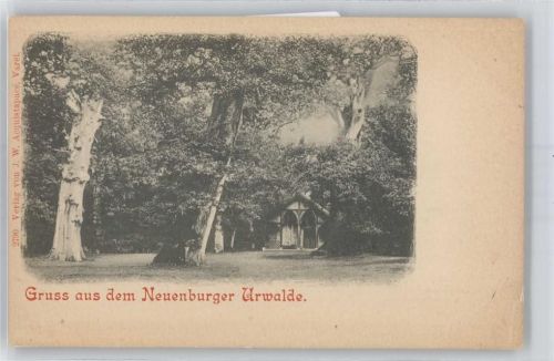 Neuenburg Wald