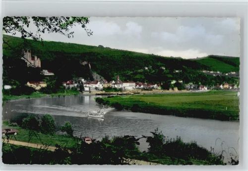 Neckarsteinach Burg Ausflugsschiff