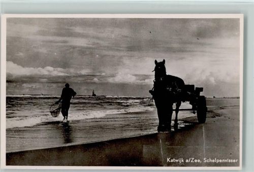 Schelpenfischer in Katwijk a/Zee