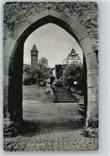 Hirschhorn Burghof