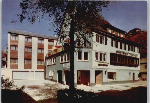 Altensteig Gasthof Pension Metzgerei zur Traube