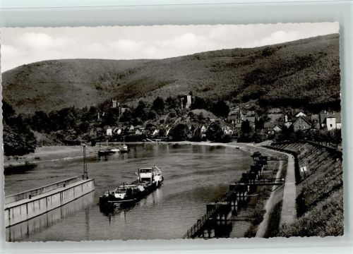 Neckarsteinach Neckarpartie bei der Schleuse