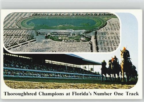 USA Gulfstream Park Handicup Florida Derby Reiten 1970