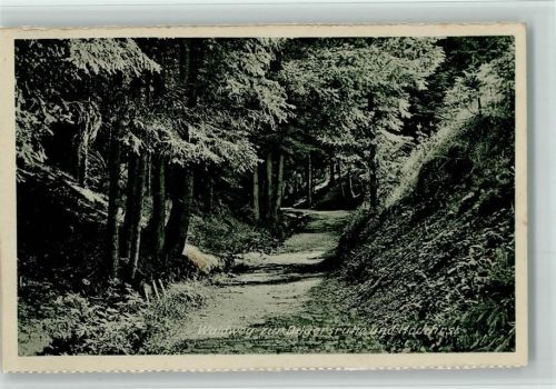 Neustadt Waldweg