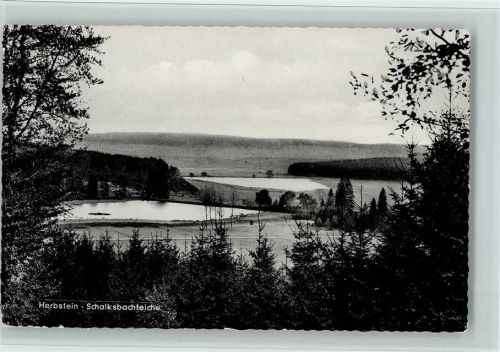 Herbstein Schalksbachteiche