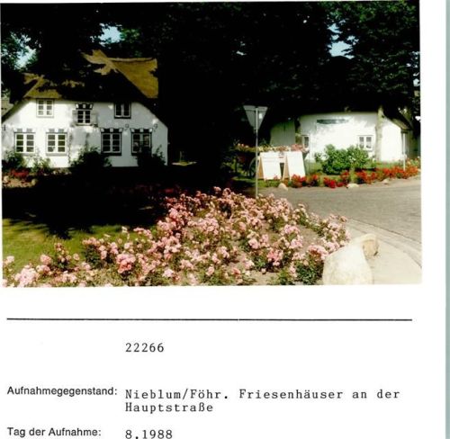 Nieblum Friesenhäuser an der Hauptstraße Foto montiert auf Karton