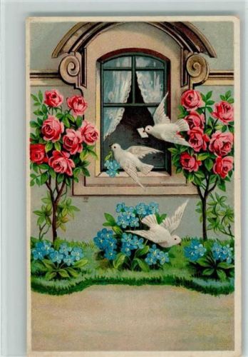 1911 Poesie - Vergissmeinnicht, Rosen, Tauben mit einem Brief AK