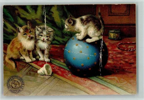 Katzenspiele mit einem Ball - Werbung Hoffmanns Stärke