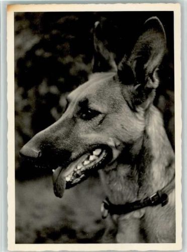 1939 Verlag EAS Nr. 328 AK