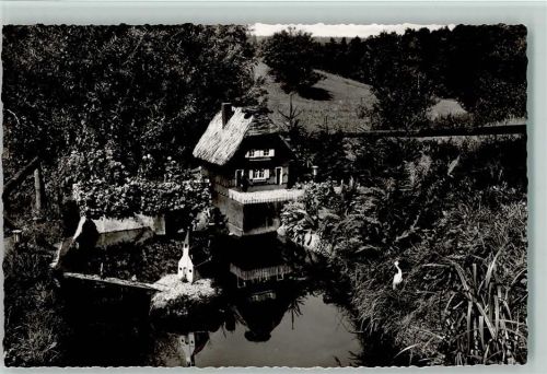 Schömberg Reiher