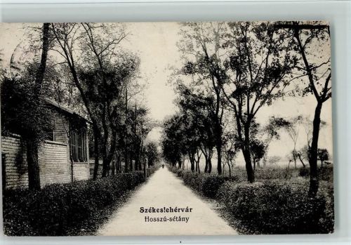 Szekesfehervar 1915 Hosszu-setany AK