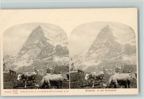 um 1905 - Hochalpen, Knackstedt & Näther Nr. 838, sehr gute Erhaltung AK