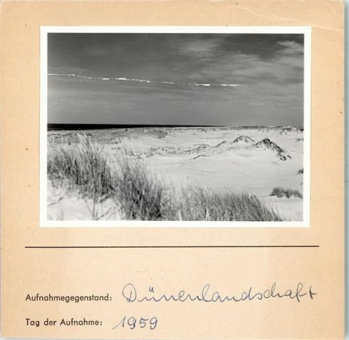 Dünen Foto montiert auf Karton