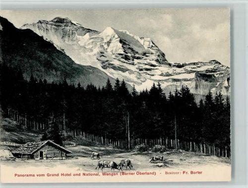 Wengen Panorama vom Grand Hotel und National