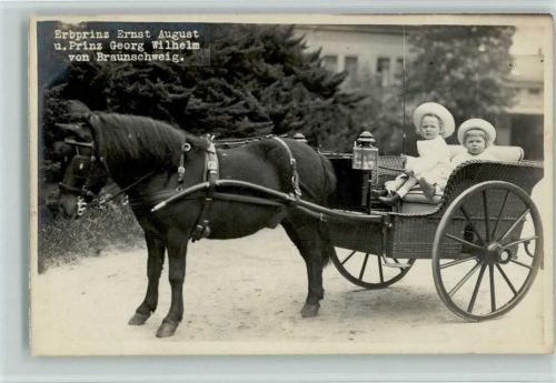 Erbprinz Ernst August und Prinz Georg Wilhelm in einer Pony-Kutsche , sehr gute Erhaltung AK