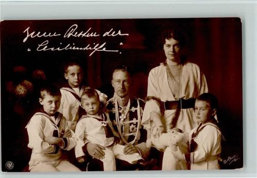 1914 Cecilienhilfe - Kronprinzenfamilie - Wohlfahrtskarte VIII , sehr gute Erhaltung AK